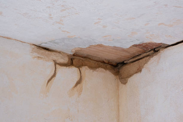 Boles Acres, NM Water damage restoration Company