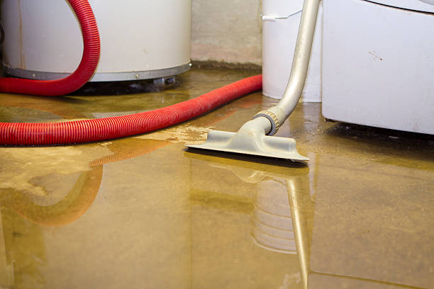 Trusted Water Damage Restoration in Boles Acres, NM | Fast, Reliable, and Ready to Assist You